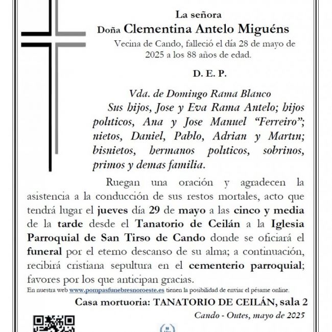Clementina Antelo web