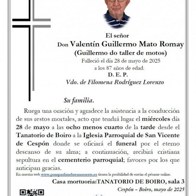 Valentín Guillermo Mato Romay web