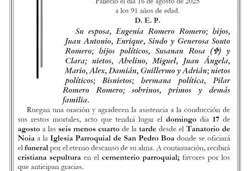 Juan Souto León web