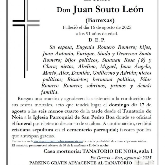 Juan Souto León web