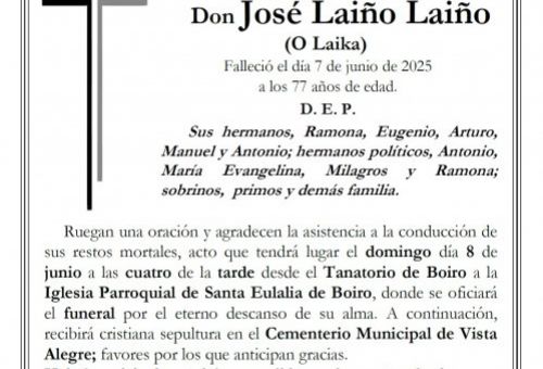 JOSÉ LAIÑO LAIÑO WEB