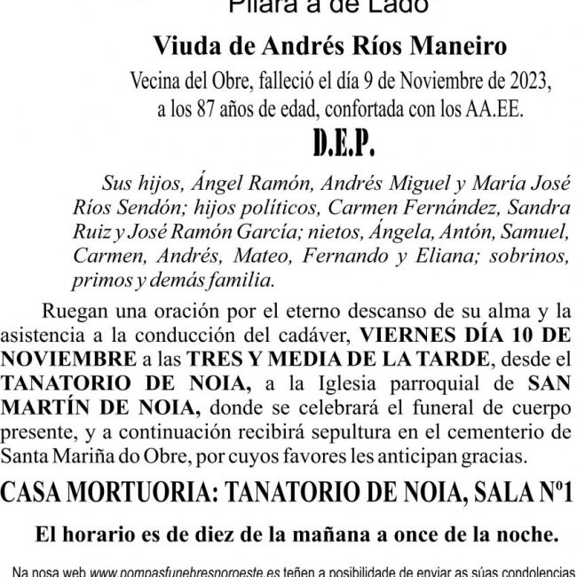 Copia de seguridad de 11 23 Esquelapilar sendon vara