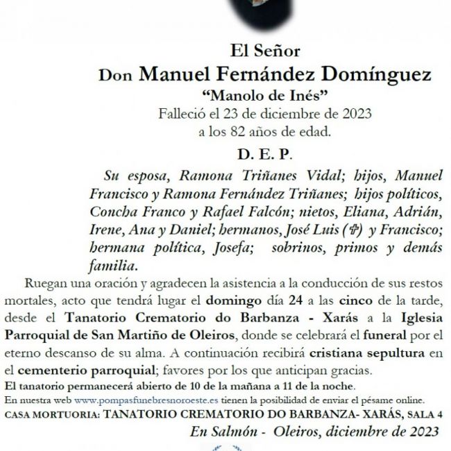 Fernández Domínguez, Manuel