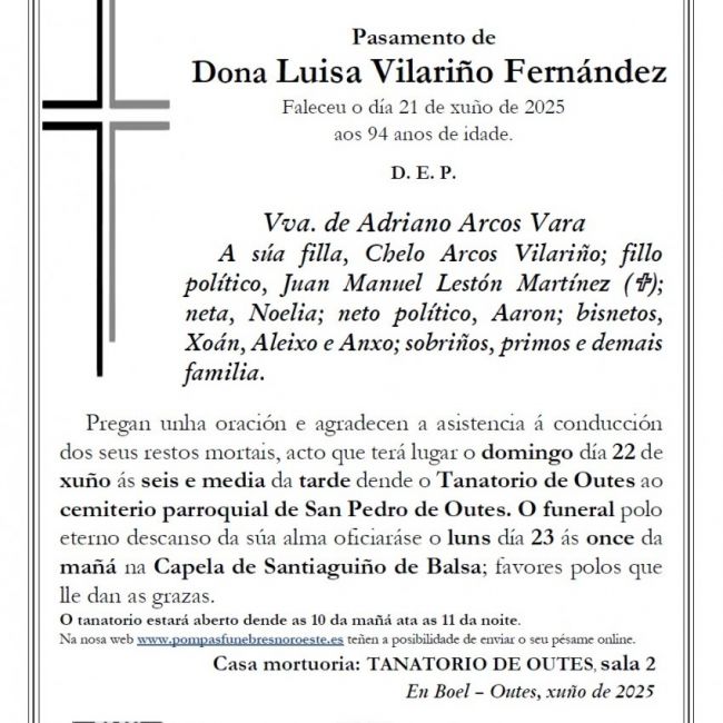 Luisa Vilariño Fernández web