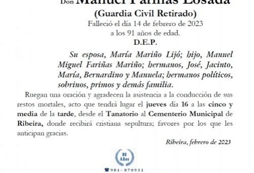 Fariñas Losada, Manuel