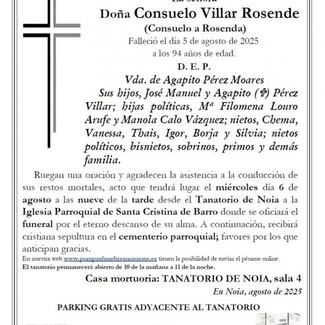 Consuelo Villar Rosende web