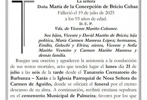 Mª de la Concepción de Bricio Cobas