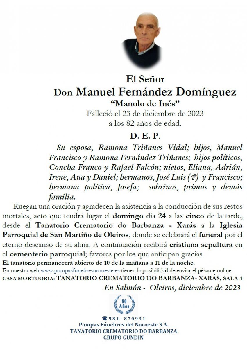 Fernández Domínguez, Manuel